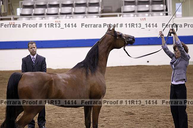 Proof 11r13_1414