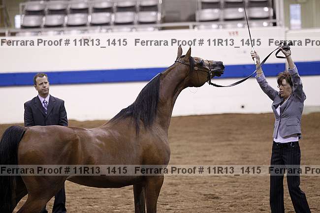 Proof 11r13_1415