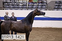 11r13_1421 proof