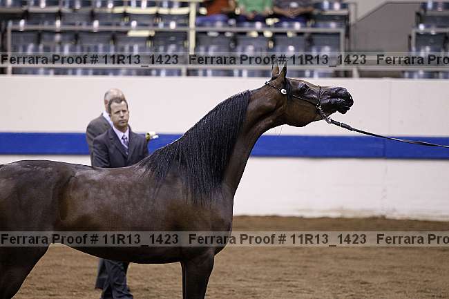 Proof 11r13_1423