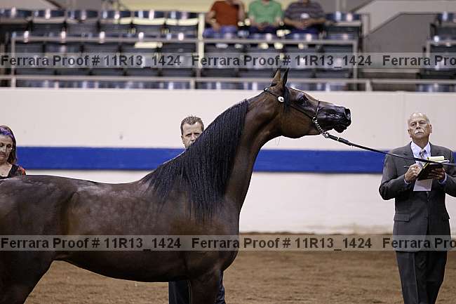 Proof 11r13_1424