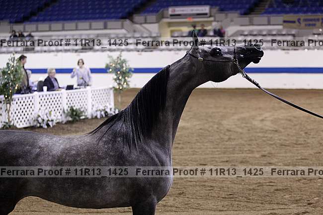 Proof 11r13_1425