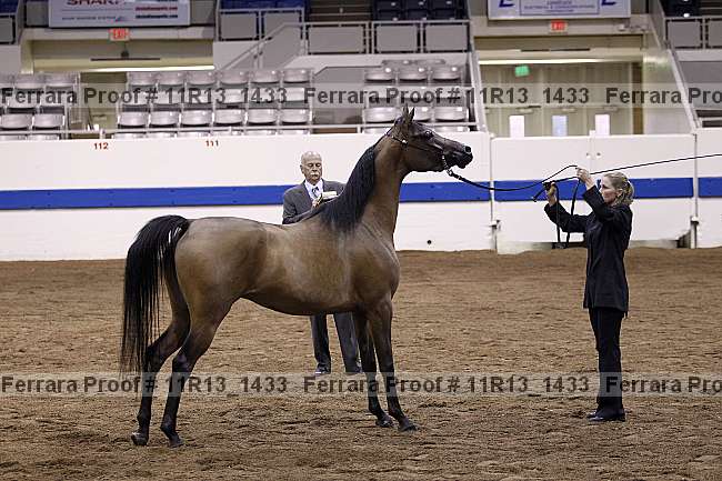 Proof 11r13_1433