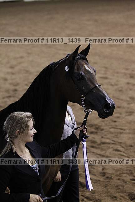 Proof 11r13_1439