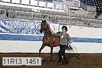 11r13_1451 proof
