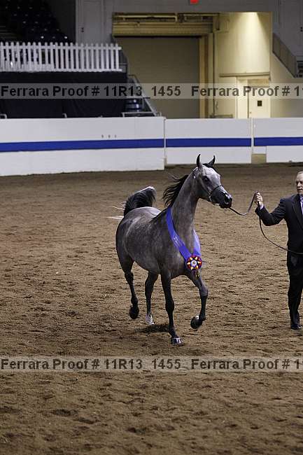 Proof 11r13_1455
