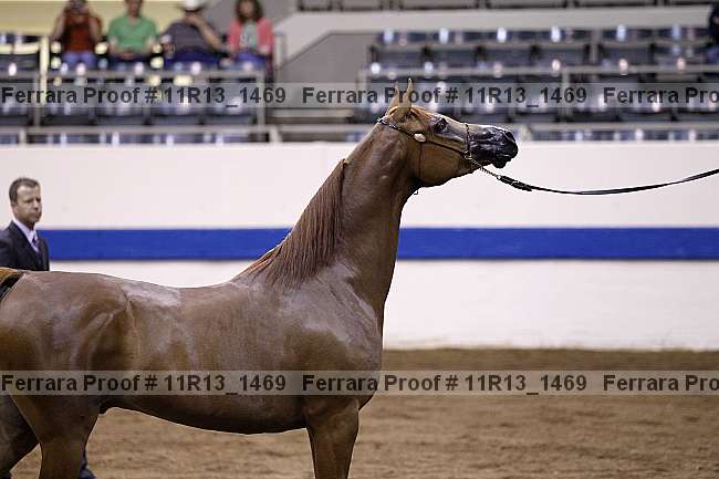 Proof 11r13_1469