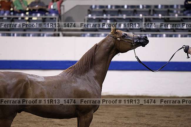 Proof 11r13_1474