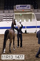 11r13_1477 proof