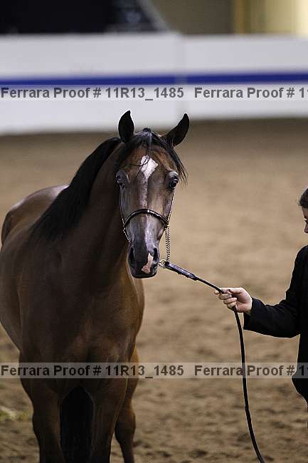 Proof 11r13_1485