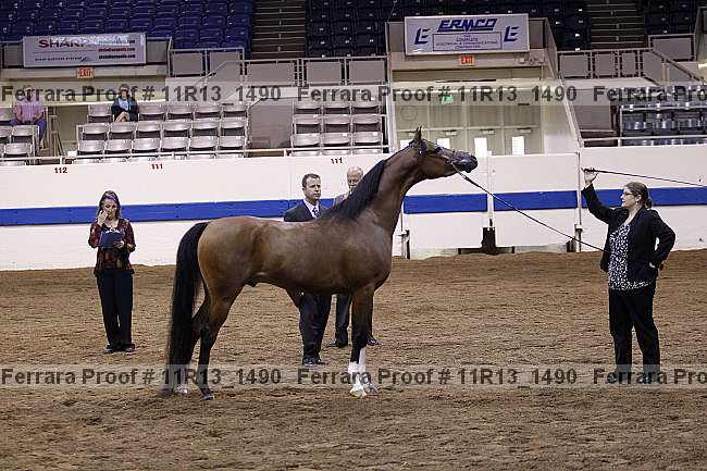 Proof 11r13_1490