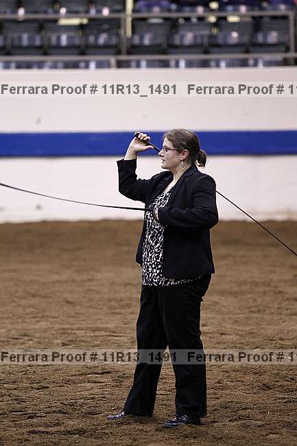 Proof 11r13_1491