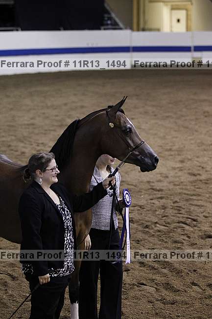 Proof 11r13_1494