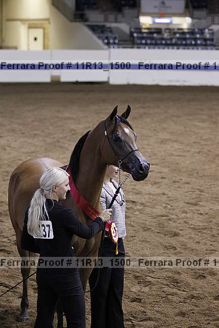Proof 11r13_1500