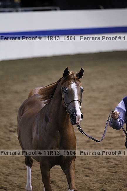 Proof 11r13_1504