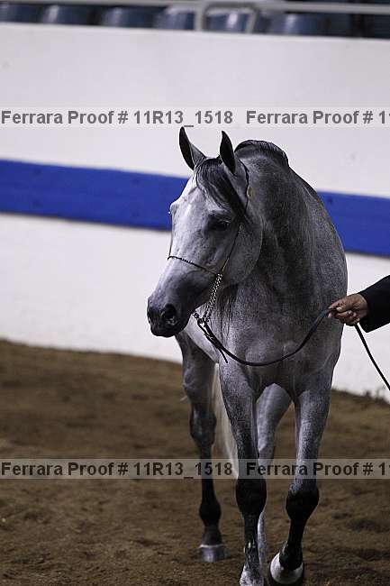 Proof 11r13_1518