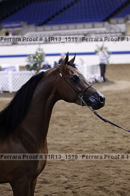 Proof 11r13_1519