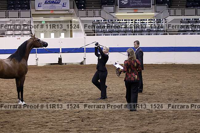 Proof 11r13_1524