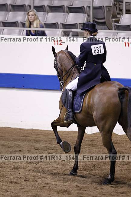 Proof 11r13_1541