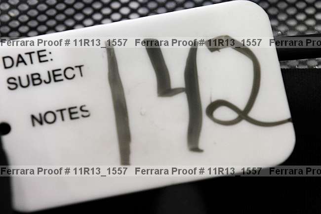 Proof 11r13_1557