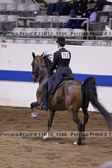 Proof 11r13_1596