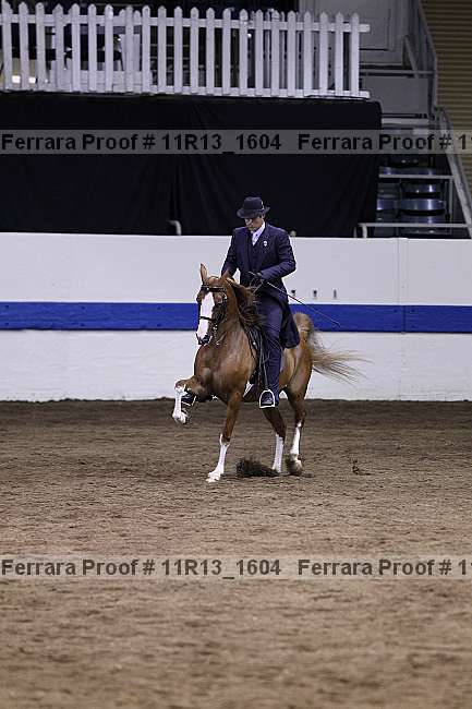 Proof 11r13_1604
