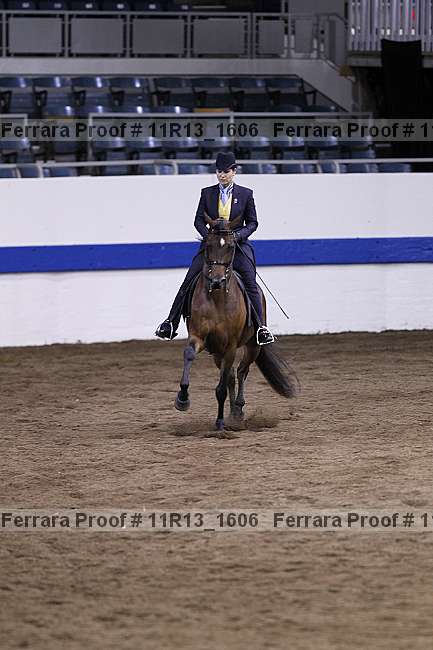 Proof 11r13_1606