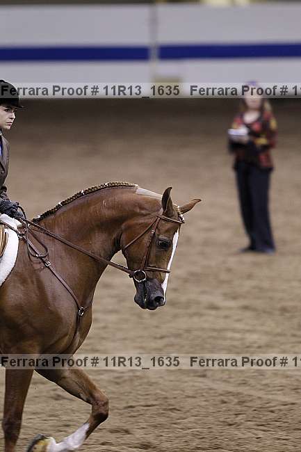 Proof 11r13_1635