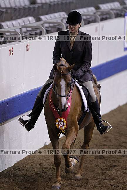 Proof 11r13_1677