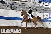 11r13_1713 proof