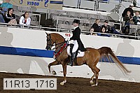 11r13_1716 proof