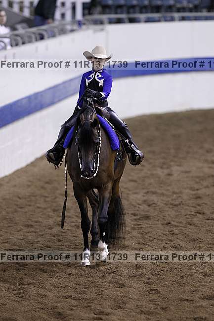 Proof 11r13_1739