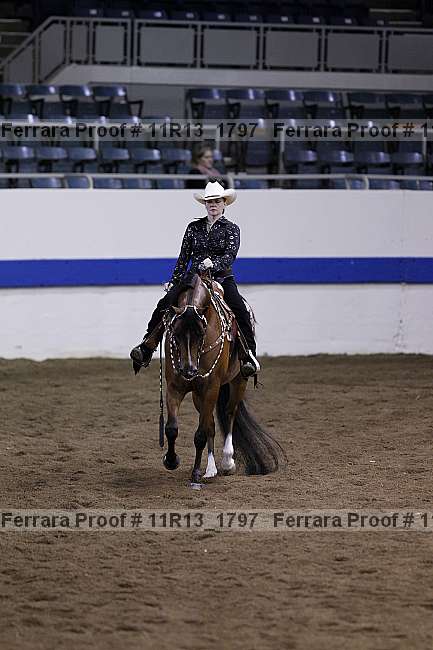 Proof 11r13_1797