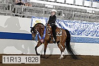 11r13_1828 proof