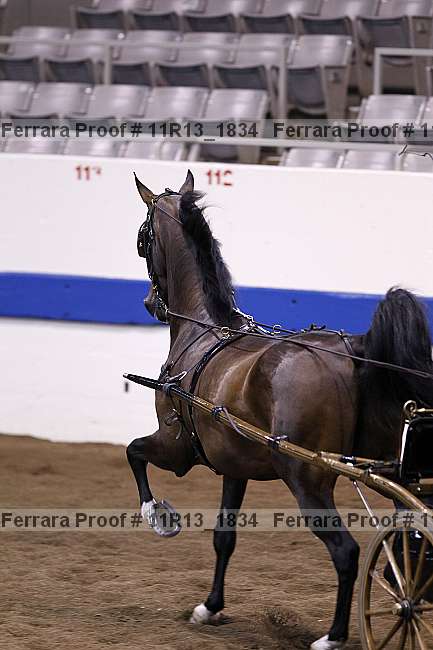 Proof 11r13_1834