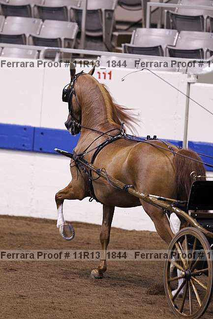 Proof 11r13_1844