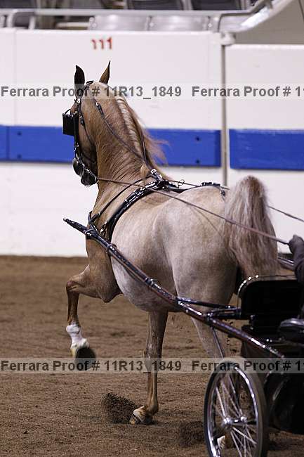 Proof 11r13_1849
