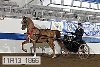 11r13_1866 proof