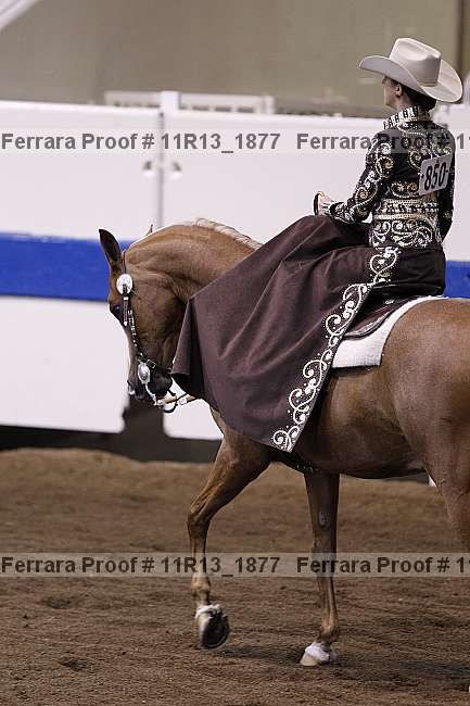 Proof 11r13_1877