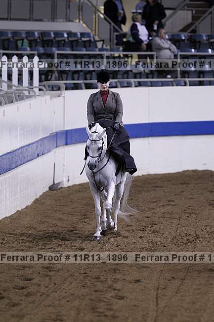 Proof 11r13_1896