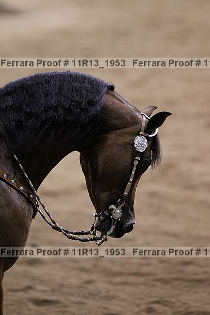Proof 11r13_1953