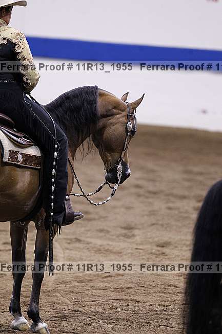 Proof 11r13_1955