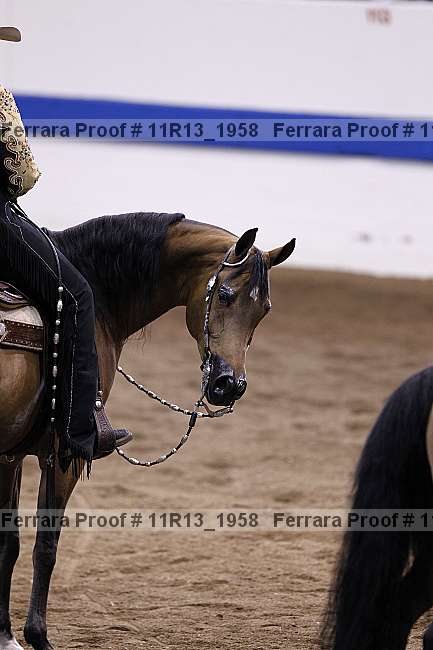 Proof 11r13_1958
