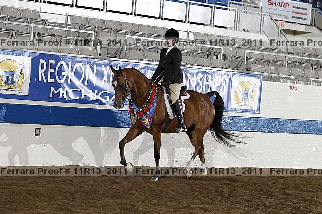 Proof 11r13_2011