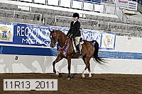 11r13_2011 proof