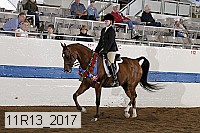 11r13_2017 proof