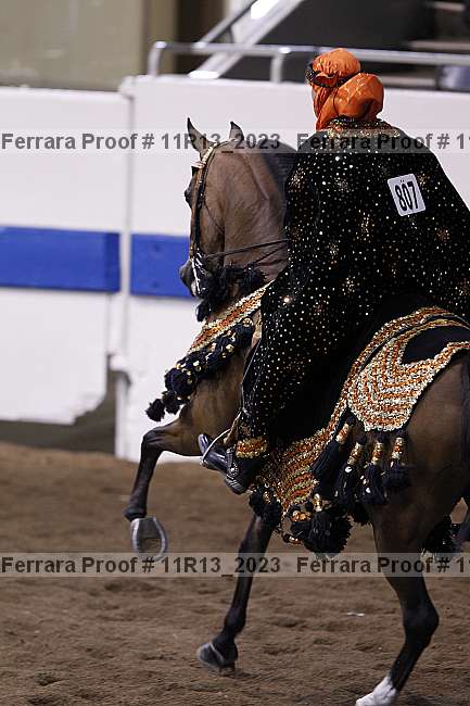 Proof 11r13_2023