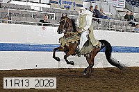 11r13_2028 proof