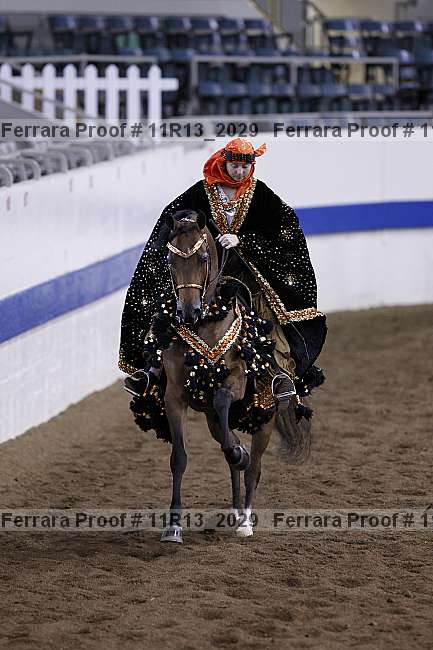 Proof 11r13_2029