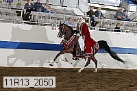 11r13_2050 proof